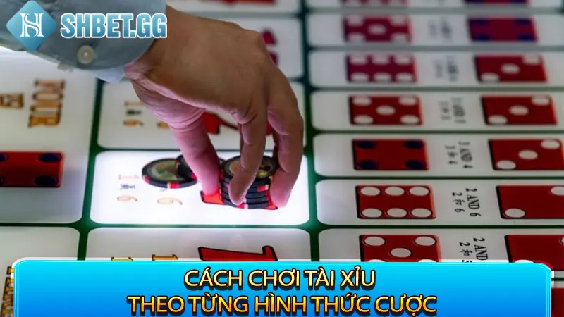 Cách Chơi Tài Xỉu Đơn Giản Dành Cho Các Newbie 2023 3 Cách chơi tài xỉu theo từng hình thức cược