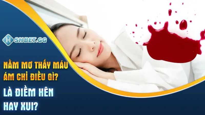 Mơ Thấy Máu Là Điềm Gì? Đánh Con Gì Để Vào Bờ Nhanh Nhất 2 Nằm mơ thấy máu ám chỉ điều gì? Là điềm hên hay xui?