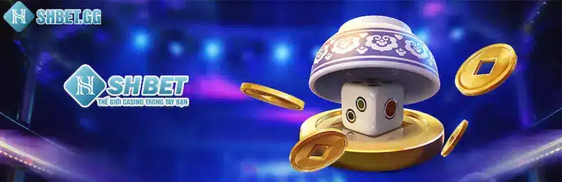 Về Chúng Tôi 3 Nhiều chương trình khuyến mãi hấp dẫn