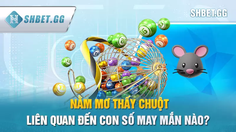 Nằm mơ thấy chuột điềm báo gì? Giải mã giấc mộng chi tiết 7 Nằm mơ thấy chuột liên quan đến con số may mắn nào?