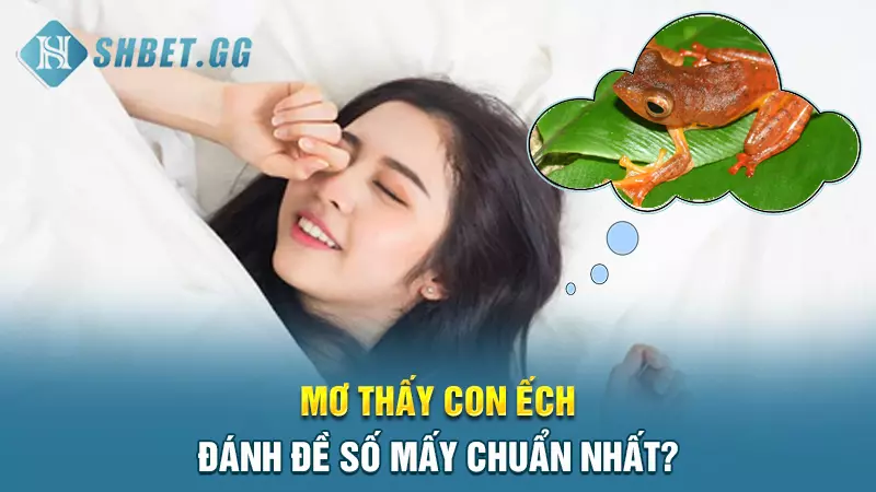 Điềm báo may mắn: Mơ con ếch đánh đề số mấy chuẩn nhất? 9 Mơ thấy con ếch đánh đề số mấy chuẩn nhất?
