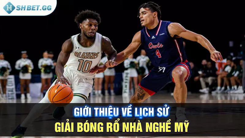 Tìm hiểu giải bóng rổ nhà nghề Mỹ và lịch thi đấu hôm nay 3 Giới thiệu về lịch sử giải bóng rổ nhà nghề mỹ