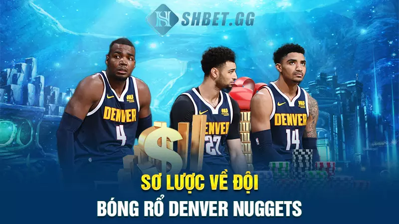 Đội bóng rổ Denver Nuggets - Top 5 clb hàng đầu thế giới 3 Sơ lược về đội đội bóng rổ Denver Nuggets