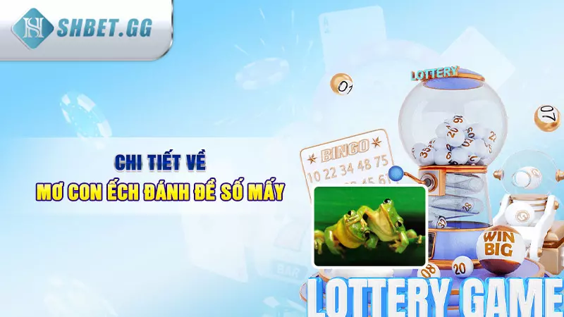 Giải mã giấc mơ thấy con ếch đánh đề số mấy 7 Chi tiết về mơ con ếch đánh đề số mấy